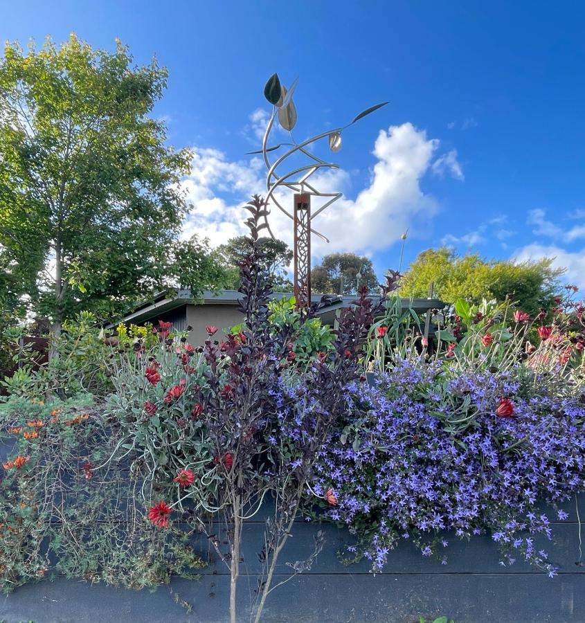 The Studio - Yarra Valley Yarra Glen Exterior foto